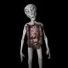 Distortions "Alien Autopsy" Sci-Fi Prop -Costume Types Shop alien autopsy sci fi prop 28733757358128