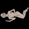 Distortions "Alien Death" Sci-Fi Prop -Costume Types Shop alien death sci fi prop 28666881638448