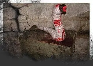 DC PROPS "Amplus Vermin" Halloween Animatronic 3 DC PROPS "Amplus Vermin" Halloween Animatronic