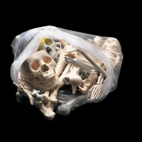 Skeletons And More "Bag Of Bones - Large" Halloween Prop 3 Skeletons And More "Bag Of Bones - Large" Halloween Prop