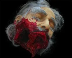 The Horror Dome "Big Mouth Severed Head" HD Studios Bloody Halloween Prop 9 The Horror Dome "Big Mouth Severed Head" HD Studios Bloody Halloween Prop -Costume Types Shop big mouth severed head hd studios bloody halloween prop 8671215041