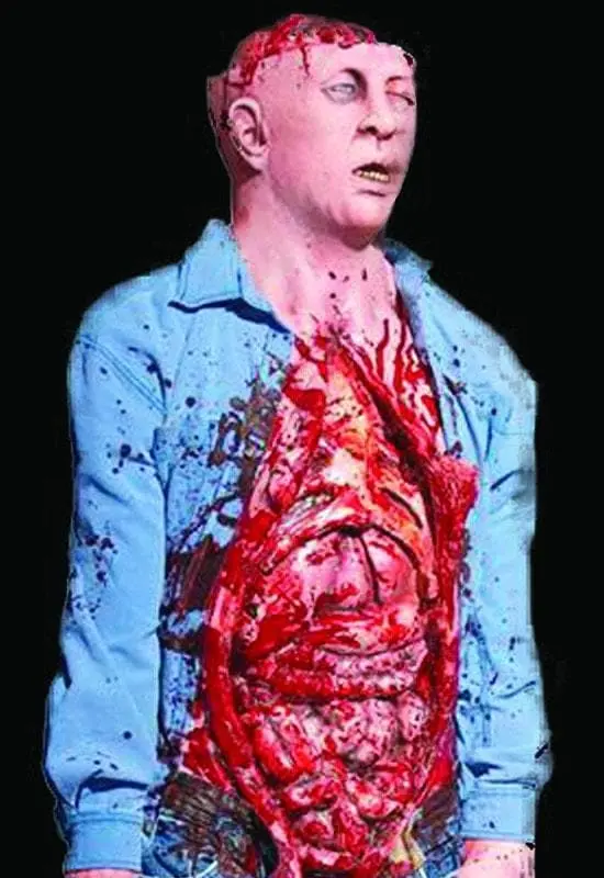 Distortions "Bowel Movement" Electric Animated Bloody Halloween Prop 3 Distortions "Bowel Movement" Electric Animated Bloody Halloween Prop