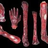 Morris Package Deals "Burnt Body Parts" Gory Halloween Props - Package Deal -Costume Types Shop burnt body parts gory halloween props package deal 3762053054512