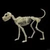 Morris Buster Bonez Dog Skeleton Halloween Prop -Costume Types Shop buster bonez dog skeleton halloween prop 30408506277936