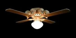 Skeletons And More "Ceiling Fan With 8 Small Skulls And Light" Haunted House Lighting