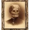 Morris "Changing Portrait - Aunt Hazel" Halloween Decoration -Costume Types Shop changing portrait aunt hazel halloween decoration 3788554928176