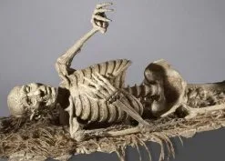 DC PROPS "Corpse Reacher/Trap Door Popper Combo" Skeleton Halloween Animatronic -Costume Types Shop corpse reacher trap door popper combo skeleton halloween animatronic 8671651777