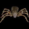Morris "Deluxe Light-Up Wolf Spider" Halloween Prop -Costume Types Shop deluxe light up wolf spider halloween prop 30397832593456