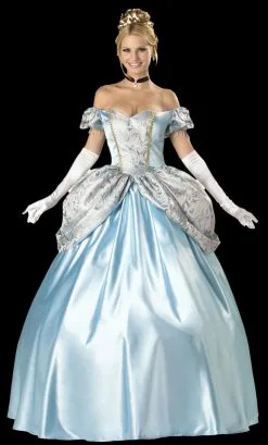 Morris "Enchanting Princess" Costume