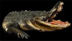 Distortions "Gator Chomp Head" Halloween Animatronic