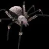 Morris "Giant Spider With LED Eyes" Monster Halloween Prop -Costume Types Shop giant spider with led eyes monster halloween prop 14285468926000
