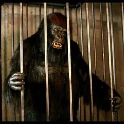The Horror Dome "Gorilla In A Cage" Professional Halloween Animatronic -Costume Types Shop gorilla in a cage professional halloween animatronic 16861759681