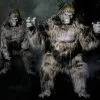 Distortions "Gorilla" Pro Quality Costume -Costume Types Shop gorilla professional movie quality halloween costume 8179587841