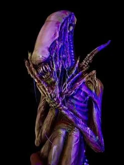 Midnight Studios "Hatching Alien" Professional Halloween Prop