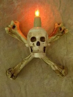 The Horror Dome "Haunted Hallway" Haunted House Props - Package Deal -Costume Types Shop haunted hallway haunted house props package deal 6927041232944