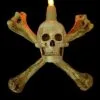 Skeletons And More "Humerus Bone Wall Sconce With 3 Inch Skull" Haunted House Lighting 2 Skeletons And More "Humerus Bone Wall Sconce With 3 Inch Skull" Haunted House Lighting -Costume Types Shop humerus bone wall sconce with 3 inch skull haunted house lighting 14357476671536
