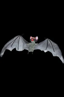 Morris "Light Up Demon Bat" Halloween Animal Prop