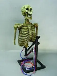 DC PROPS "Mini Popper" Skeleton Halloween Animatronic
