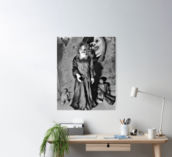 The Horror Dome Mirror Mirror Poster -Costume Types Shop mirror mirror poster 29931610570800