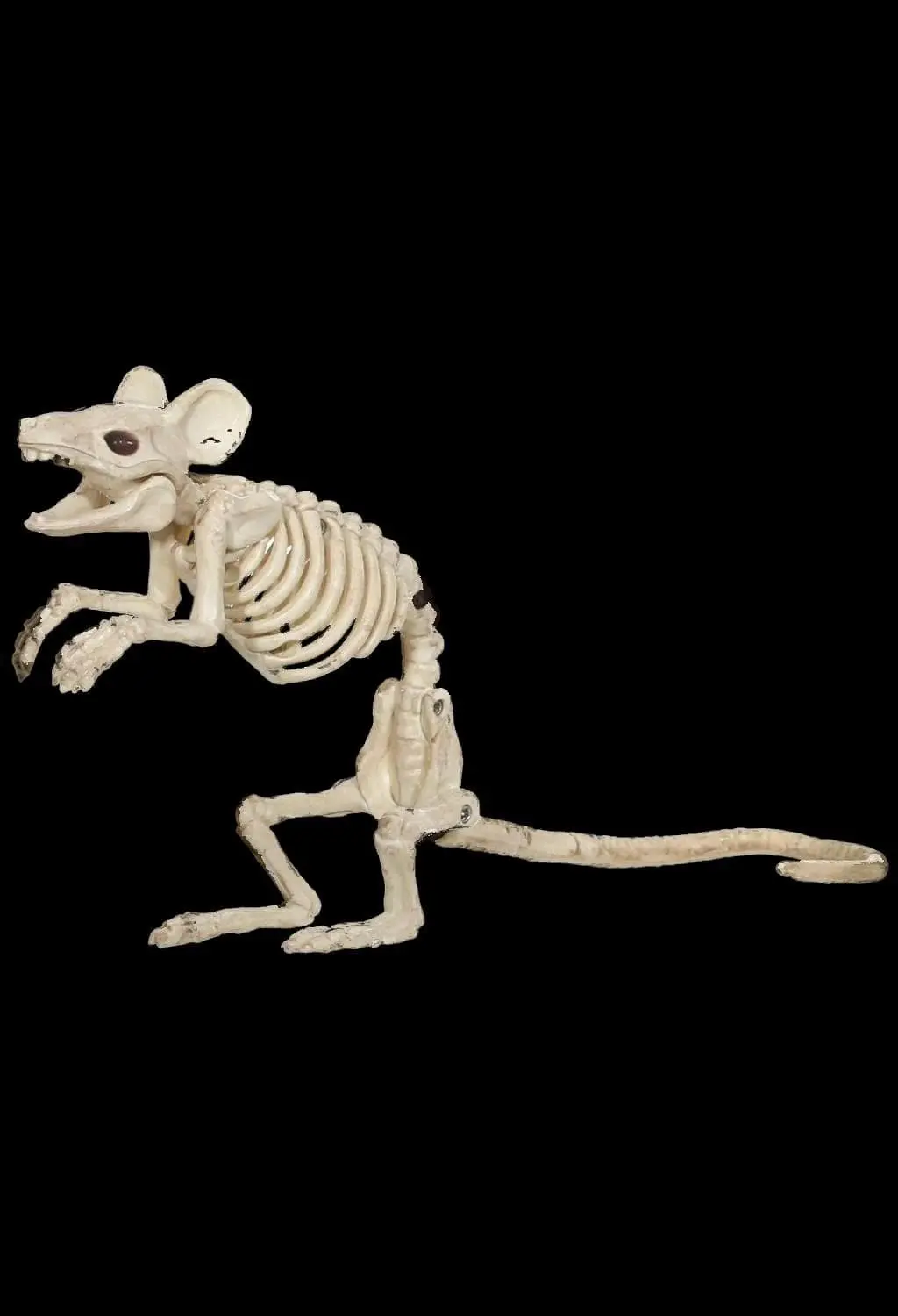 Morris "Mouse Skeleton" Animal Prop 3 Morris "Mouse Skeleton" Animal Prop