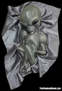 The Horror Dome "Roswell Alien Baby Crash Victim" HD Exclusive Halloween Decoration -Costume Types Shop new for 2022 roswell alien baby crash victim hd exclusive halloween decoration 30106370048048