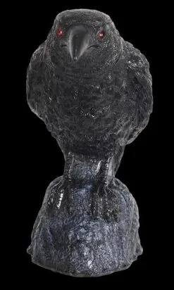 Morris "Raven With Turning Head" Animated Halloween Prop