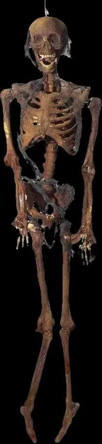 Morris "Rotted Corpse" Skeleton Halloween Prop