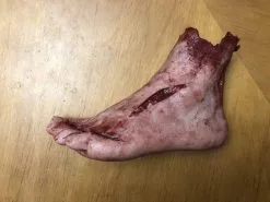 SpellBound FX And Art "Silicone Severed Left Female Foot" Body Parts Halloween Prop -Costume Types Shop silicone severed left female foot body parts halloween prop 11943768850480