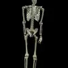 Morris "Skeleton" Hanging Halloween Prop - 60" 1 Morris "Skeleton" Hanging Halloween Prop - 60" -Costume Types Shop skeleton hanging halloween prop 60 14320996483120