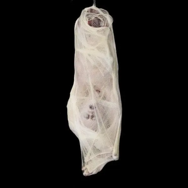 Distortions "Spider Bites" Static Halloween Prop 3 Distortions "Spider Bites" Static Halloween Prop