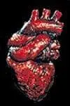 Morris "The Human Heart" Bloody Halloween Prop