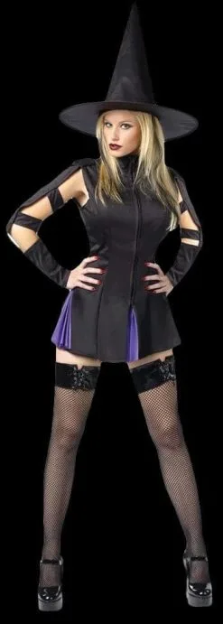 Morris "Wicked Witch" Costume (Adult)