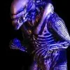 Midnight Studios "Zenomorph" Professional Costume -Costume Types Shop zenomorph professional halloween costume 15049105834032