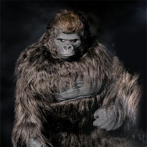 Costume Types Shop -Costume Types Shop fb577da22a43df830e0f6d37ec1c7279